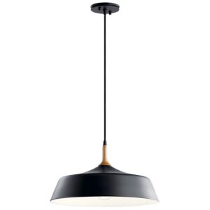 Danika 1-Light Pendant in Black