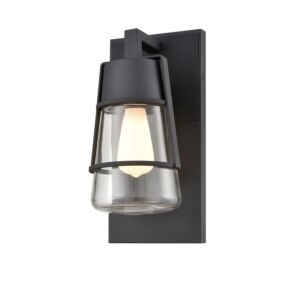 Lake Of The Woods Outdoor 1-Light Wall Sconce in Black