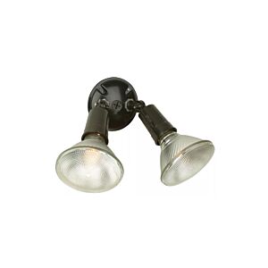 Craftmade Par Holders 4" Flood Light in Black