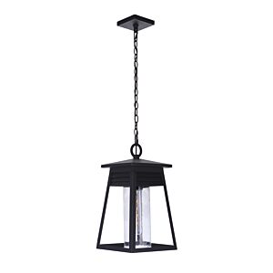 Craftmade Becca Outdoor Hanging Light in Matte Black