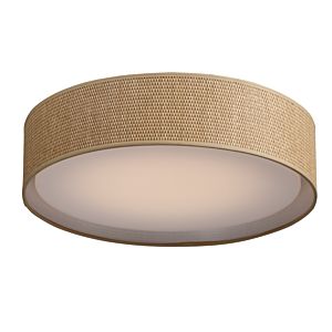  Prime Ceiling Light in