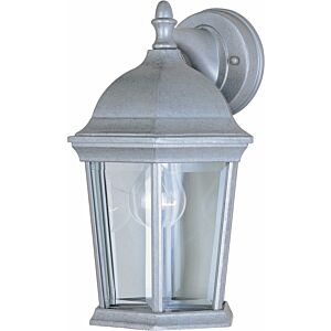 Builder Cast 1-Light Outdoor Wall Lantern in Pewter