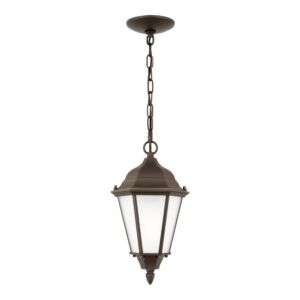 Generation Lighting Bakersville Outdoor Hanging Light in Heirloom Bronze