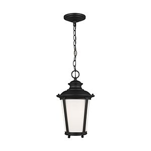 Generation Lighting Cape May Outdoor Hanging Light in Black