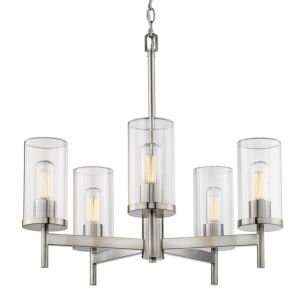 Winslett PW 5-Light Chandelier in Pewter