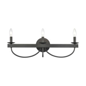 Williamson 3-Light Bathroom Vanity Light in Black