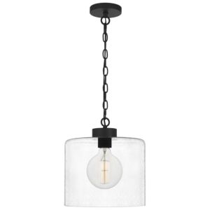 Abner One Light Mini Pendant in Matte Black by Quoizel