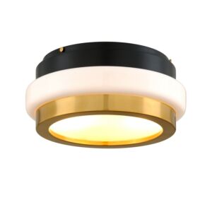 Beckenham  Flush Mount in Vintage Polished Brass Black Brass by Corbett Lighting