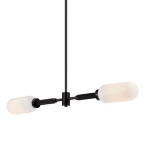 Annex Two Light Linear Pendant in Anodized Black by Troy Lighting