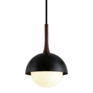 Cadet One Light Pendant in Soft Black by Troy Lighting