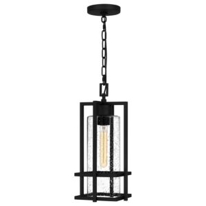 Damien One Light Outdoor Hanging Lantern in Earth Black by Quoizel