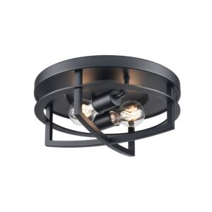 Five Points Outdoor 2-Light Outdoor Flush Mount in Black