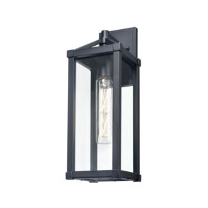 Nipigon Outdoor 1-Light Wall Sconce in Black