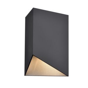 Brecon Outdoor 1-Light Wall Sconce in Stainless Steel and Black