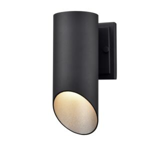 Brecon Outdoor 1-Light Wall Sconce in Stainless Steel and Black