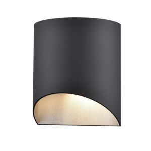 Brecon Outdoor 1-Light Wall Sconce in Stainless Steel and Black