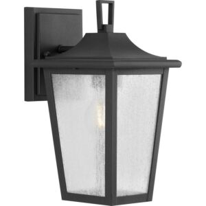 Padgett 1-Light Outdoor Wall Lantern in Black