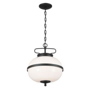 Opal 2-Light Pendant in Textured Black