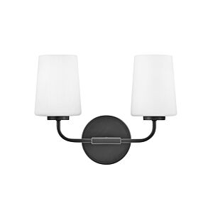 Kline 2-Light LED Bathroom Vanity Light in Black