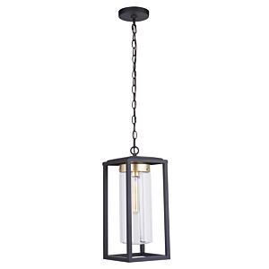 Craftmade Neo Outdoor Hanging Light in Midnight Satin Brass