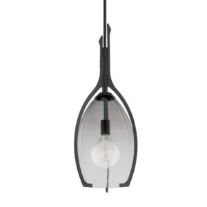 Pacifica One Light Pendant in Forged Iron by Troy Lighting