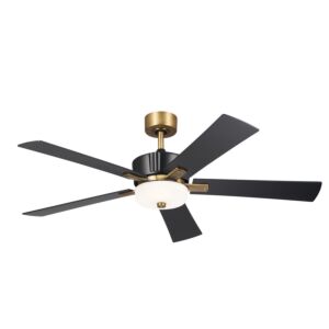 Icon 1-Light 56" Hanging Ceiling Fan in Satin Black