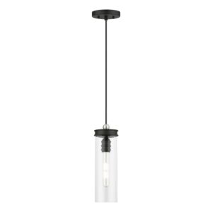 Devoe 1-Light Mini Pendant in Black w with Brushed Nickel