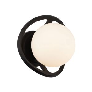 Black Betty One Light Wall Sconce in CarbonFrench Gold by Varaluz