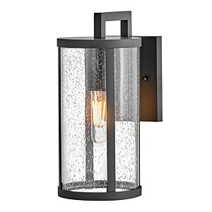 Alfie 1-Light LED Wall Lantern in Black