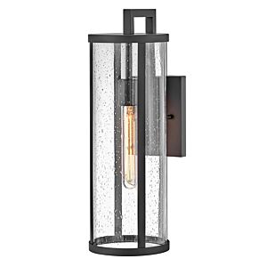 Alfie 1-Light LED Wall Lantern in Black