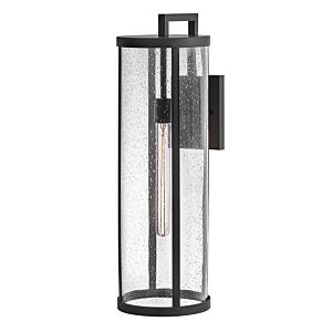 Alfie 1-Light LED Wall Lantern in Black