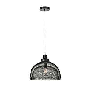 Warren 1-Light Pendant in Black