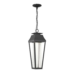 Brookline LED Outdoor Hanging Lantern in Matte Black by Savoy House