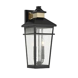 Kingsley Two Light Outdoor Wall Lantern in Matte Blackith Warm Brass by Savoy House