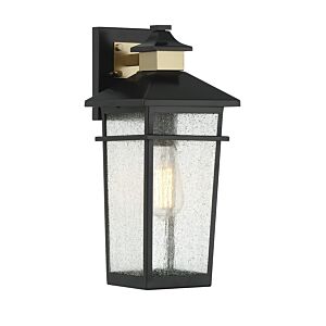 Kingsley 1-Light Outdoor Wall Lantern in Matte Black with Warm Brass Accents