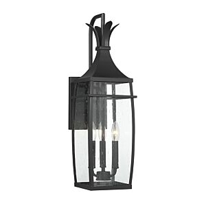 Montpelier Three Light Outdoor Wall Lantern in Matte Black by Savoy House