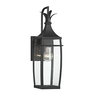 Montpelier One Light Outdoor Wall Lantern in Matte Black by Savoy House