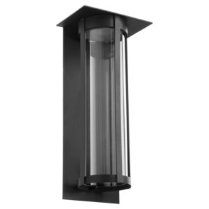 Abram 1-Light LED Outdoor Lantern in Textured Black