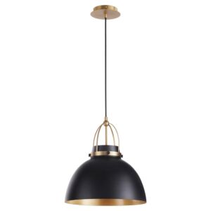 Picture Lights One Light Pendant in Matte Black  Aged Brass by Quorum International