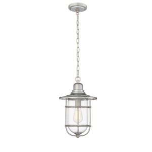 1-Light Outdoor Hanging Lantern in Galvanized