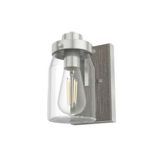 Hunter Devon Park 1-Light Sconce in Brushed Nickel