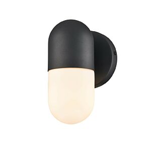 Capsule Outdoor 1-Light Wall Sconce in Black