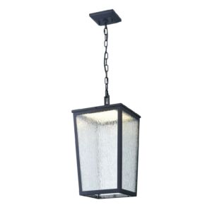 Calabasis 1-Light LED Pendant in Black