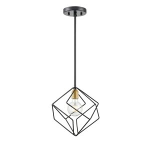 Ashoona 1-Light Pendant in Brass and Ebony