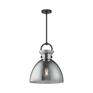 Waldo 1-Light Pendant in Matte Black with Smoked