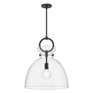 Waldo 1-Light Pendant in Matte Black with Clear Glass