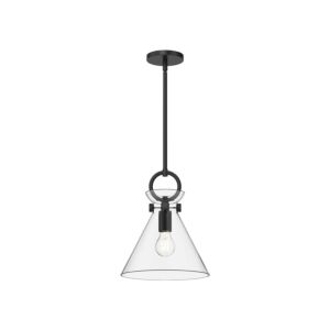 Emerson 1-Light Pendant in Matte Black with Clear Glass