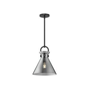 Emerson 1-Light Pendant in Matte Black with Smoked