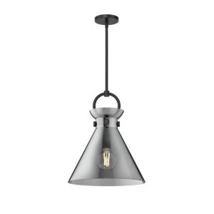 Emerson 1-Light Pendant in Matte Black with Smoked