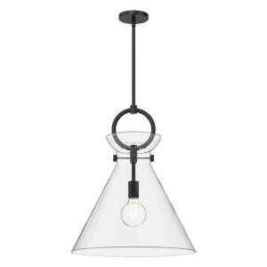 Emerson 1-Light Pendant in Matte Black with Clear Glass